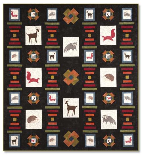 Twin Cities Quilting: Quilt Kits